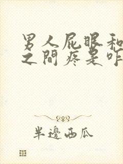 男人屁眼和睾丸之间疼是咋回事