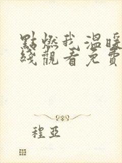 点燃我温暖你在线观看免费全集