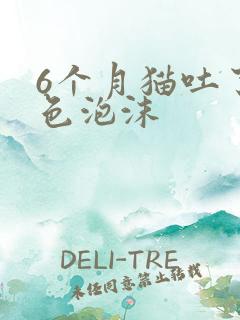 6个月猫吐了白色泡沫