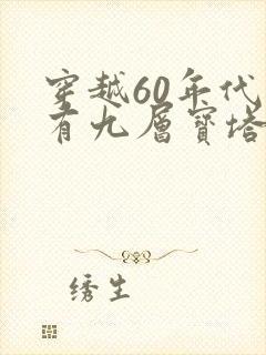穿越60年代我有九层宝塔空间全集