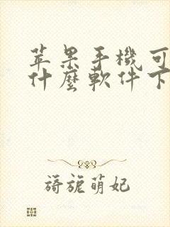 苹果手机可以用什么软件下载软件