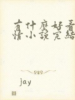 有什么好看的言情小说完结版