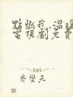 点燃我,温暖你电视剧免费观看全集在线播放