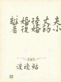 离婚后丈夫哭求着复婚的小说