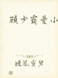 顾少霸爱小娇妻