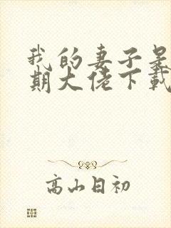 我的妻子是大乘期大佬下载txt