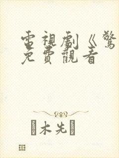 电视剧《惊弦》免费观看