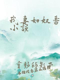 我妻如奴番外篇小说