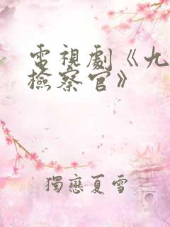 电视剧《九部的检察官》