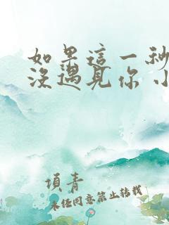 如果这一秒,我没遇见你 小说