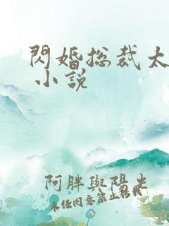 闪婚总裁太霸道 小说