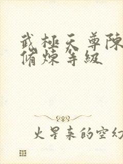 武极天尊陈天极修炼等级