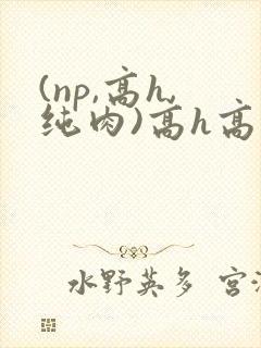 (np,高h,纯肉)高h高
