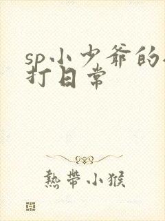 sp小少爷的挨打日常