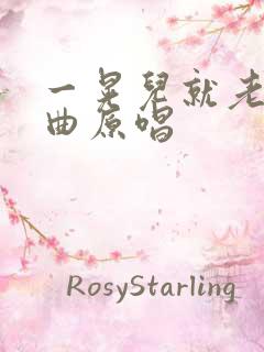 一晃儿就老了歌曲原唱