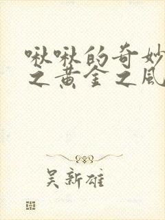 啾啾的奇妙冒险之黄金之风