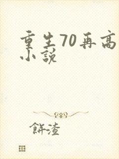 重生70再高嫁小说