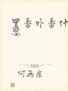 里番外番什么意思