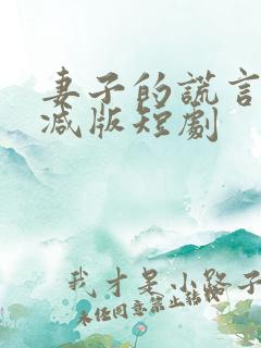 妻子的谎言未删减版短剧