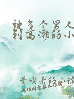 被多个男人玩弄到高潮的小说