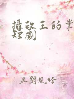 摄政王的掌心凤短剧