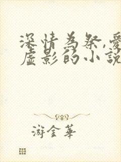 深情为祭,爱成虚影的小说