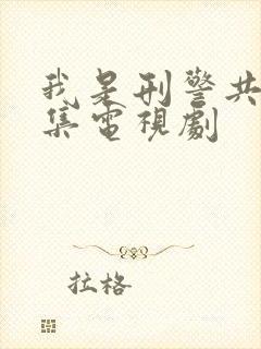 我是刑警共多少集电视剧