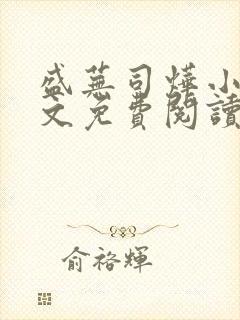 盛芜司烨小说全文免费阅读