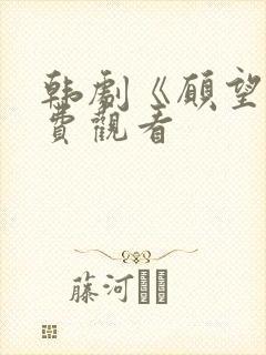 韩剧《愿望》免费观看