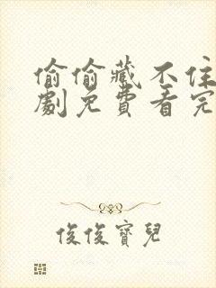 偷偷藏不住电视剧免费看完整版