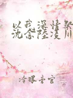 以我深情祭岁月沈念陆凌川