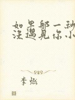 如果那一秒,我没遇见你小说