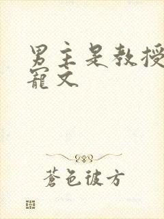 男主是教授的甜宠文