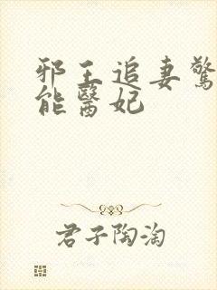 邪王追妻惊世全能医妃