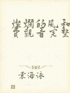 灿烂的风和海免费观看完整版电视剧