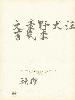 文豪野犬汪一共有几季