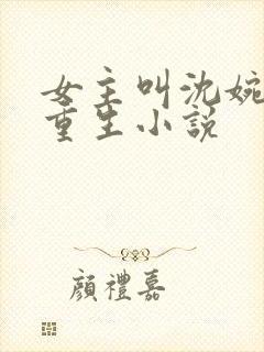 女主叫沈婉婉的重生小说