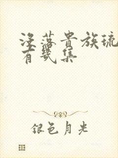 没落贵族琉璃川有几集