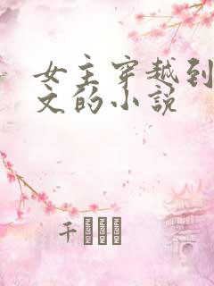 女主穿越到赘婿文的小说