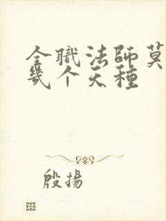 全职法师莫凡有几个天种