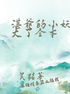 湛爷的小妖精长大了全本