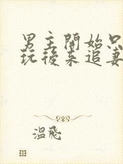 男主开始只是玩玩后来追妻火葬场