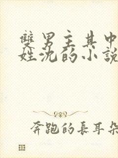 双男主其中一个姓沈的小说