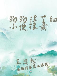 狗狗得了细小后小便很黄