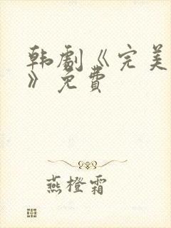 韩剧《完美伴侣》免费