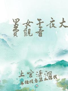 男女午夜大片免费观看