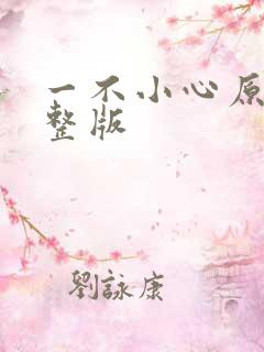 一不小心原唱完整版