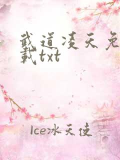 武道凌天免费下载txt