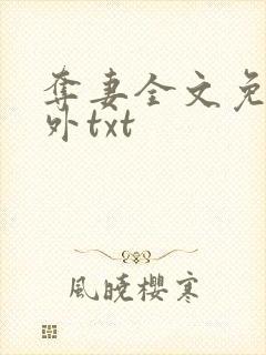 夺妻全文免费番外txt