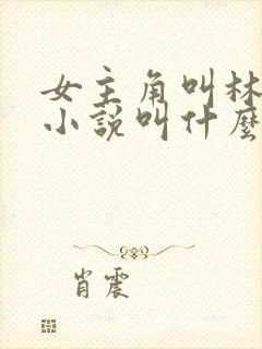 女主角叫林晚的小说叫什么名字